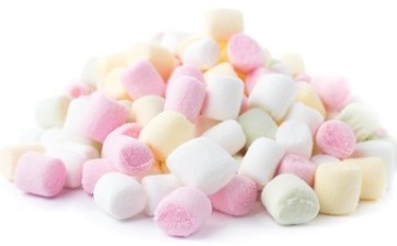 Willenskraft (Willpower) - der Marshmallow Test